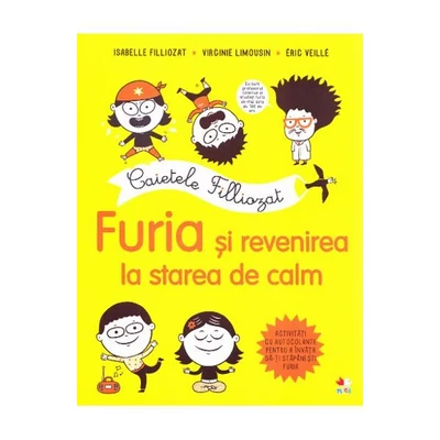Caietele Filliozat. Furia si revenirea la starea de calm - Isabellle Filliozat
