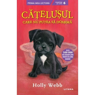 Catelusul care nu putea sa doarma - Holly Webb