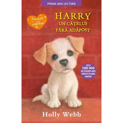 Harry, un catelus fara adapost - Holly Webb