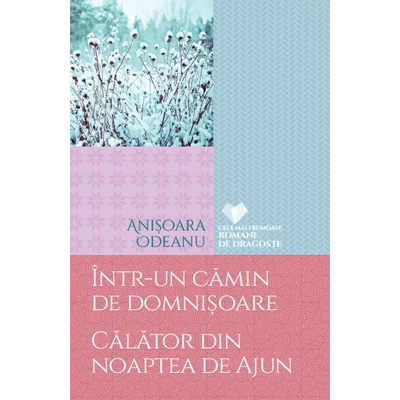 Intr-un camin de domnisoare. Calator din noaptea de Ajun - Anisoara Odeanu