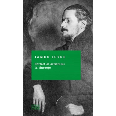 Portret al artistului la tinerete - James Joyce