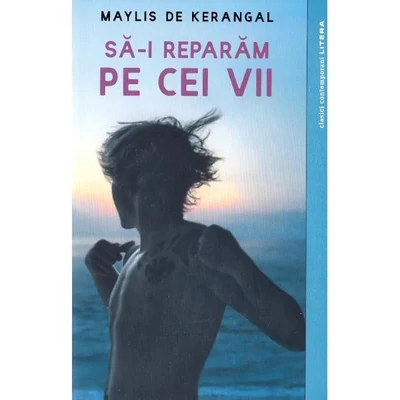 Sa-i reparam pe cei vii - Maylis de Kerangal