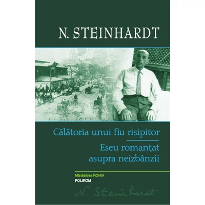 Calatoria unui fiu risipitor. Eseu romantat asupra neizbanzii - N. Steinhardt