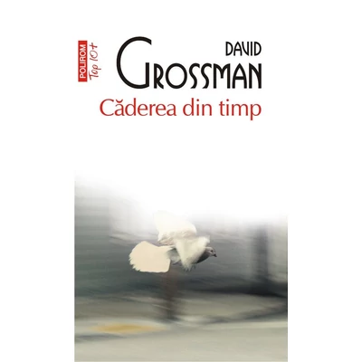 Caderea din timp. O poveste pe mai multe voci - David Grossman
