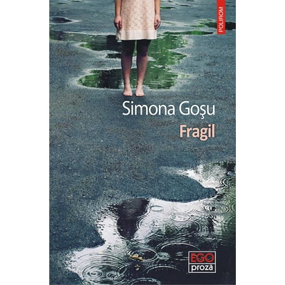 fragil - Simona Gosu