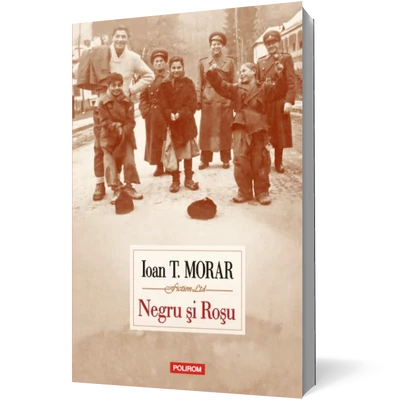 Negru si Rosu - Ioan T. Morar