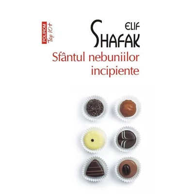 Sfantul nebuniilor incipiente - Elif Shafak