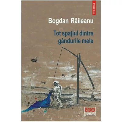 Tot spatiul dintre gandurile mele - Bogdan Raileanu