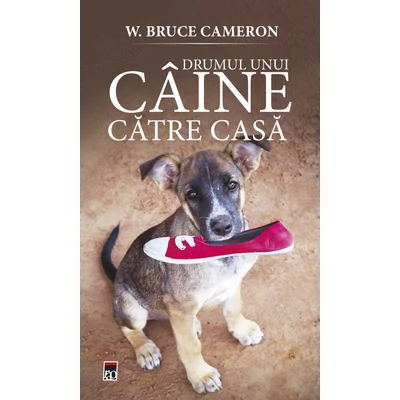 Drumul unui caine catre casa - W. Bruce Cameron