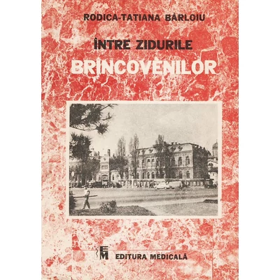 Intre zidurile Brincovenilor - Rodica-Tatiana Barloiu