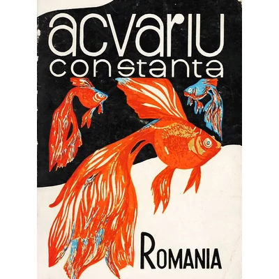 Acvariu Constanta - Marcel Stanciu