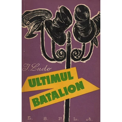 Paravanul de aur, vol. 5Ultimul batalion - I. Ludo