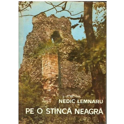 Pe o stinca neagra - Nedic Lemnaru