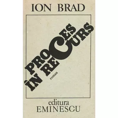 Proces in recurs - Ion Brad